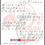 Haye Ghurbat e Hasan Ahmad Timsaal Lyrics Urdu 2024