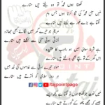 Likhta Hoon Mohammed Sajjad Ashraf Taqvi Lyrics 2024