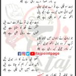 Sakina Rehai Mili Hai Chalo Sarwar Raza Karabalai Lyrics 2024