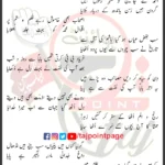 Haye Haye Rasool Zadi Ko Ummat Ne Sataya Lyrics Urdu 2024