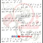 Batool Kay Shayan Syed Mudassir Mehdi Lyrics Urdu 2025