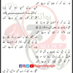 Gurbat e Fatima Qamar Baltistani Lyrics Urdu 2024