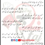 Markaz e Bazm e Kisa hai Fatima Ali Raza Karbalai Lyrics Urdu 2025