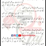 Marzion Wali Hain Rizwan Ali Zaidi Lyrics Urdu 2025