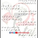 Zahra Ki Manqabat Ka Saliqa Kuch Aur Hai Mir Hasan Mir Lyrics Urdu 2025