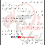 Thehri Hui Hai Hasnain Mehdi Lyrics Urdu 2025