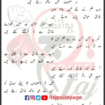 Hosla Ghazi Mola Dete Hain Haider Rizvi Lyrics Urdu 2025