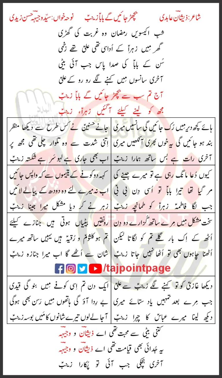 Bichar Jayengy Baba Zainab Wajhi Hasan Zaidi Lyrics Urdu 2025