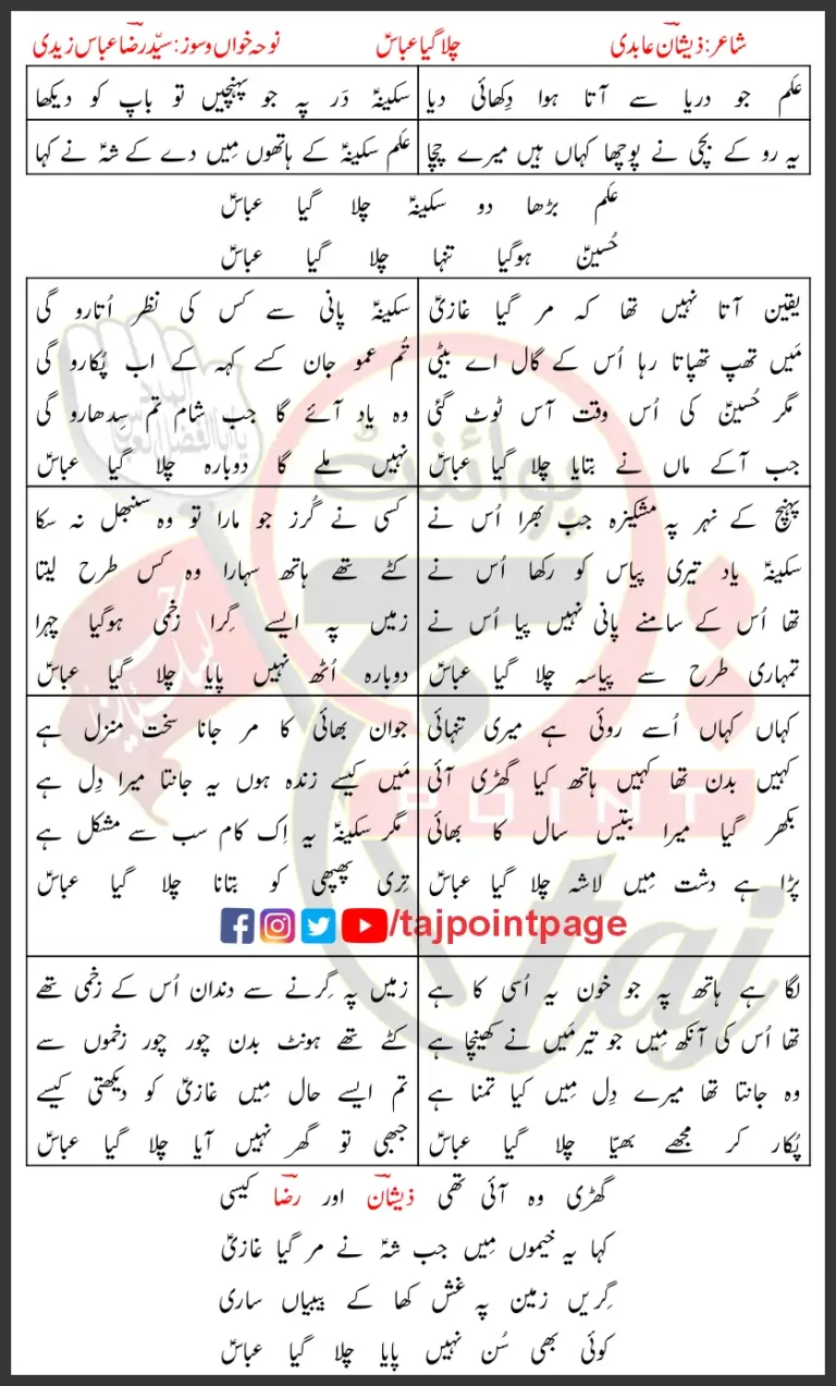 Chala Gaya Abbas Syed Raza Abbas Zaidi Lyrics Urdu 2025