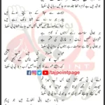 Asghar Ka Sadqa Dijiye Ya Bibi Sakina Syed Ali Naqvi Lyrics Urdu 2025