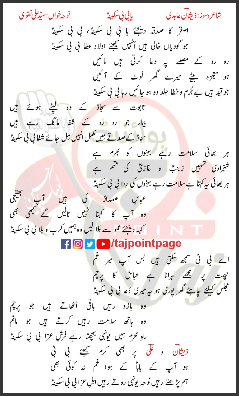Asghar Ka Sadqa Dijiye Ya Bibi Sakina Syed Ali Naqvi Lyrics Urdu 2025