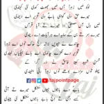 Loko Main Zahra Aan Main Jhot Kadi Nahi Kendi Lyrics Punjabi 2025