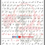 Madinay Ki Galian Kashan Zaidi Lyrics Urdu 2025