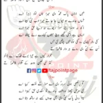 Ronda Reya Nabi Da Darbar Raza Hassan Sadiq Lyrics Punjabi 2025