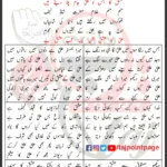 Ali Ka Ishq Syed Raza Abbas Zaidi Lyrics Urdu 2026