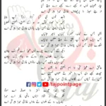 Ghazi Mera Peer Shahid Baltistani Lyrics Punjabi 2026