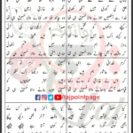 Hussain Hi Tha Syed Mohammad Shah Lyrics Urdu 2026