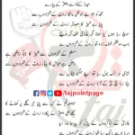 Zainab Ke Shahzadoun Se Sonu Monu Lyrics Urdu 2026