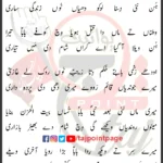 Dhiyan Des Paraye Wekhiya Babal Aakhri Wari Lyrics Punjabi 2026
