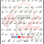 Zainab Ujar Gayi Zainab Ujar Gayi Zainab Ujar Gayi Lyrics Punjabi 2026