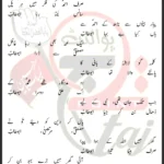 Hai Ameen e Khuda Abu Talib Mirza Ahsan Abbas Mohtasham Lyrics Urdu 2026