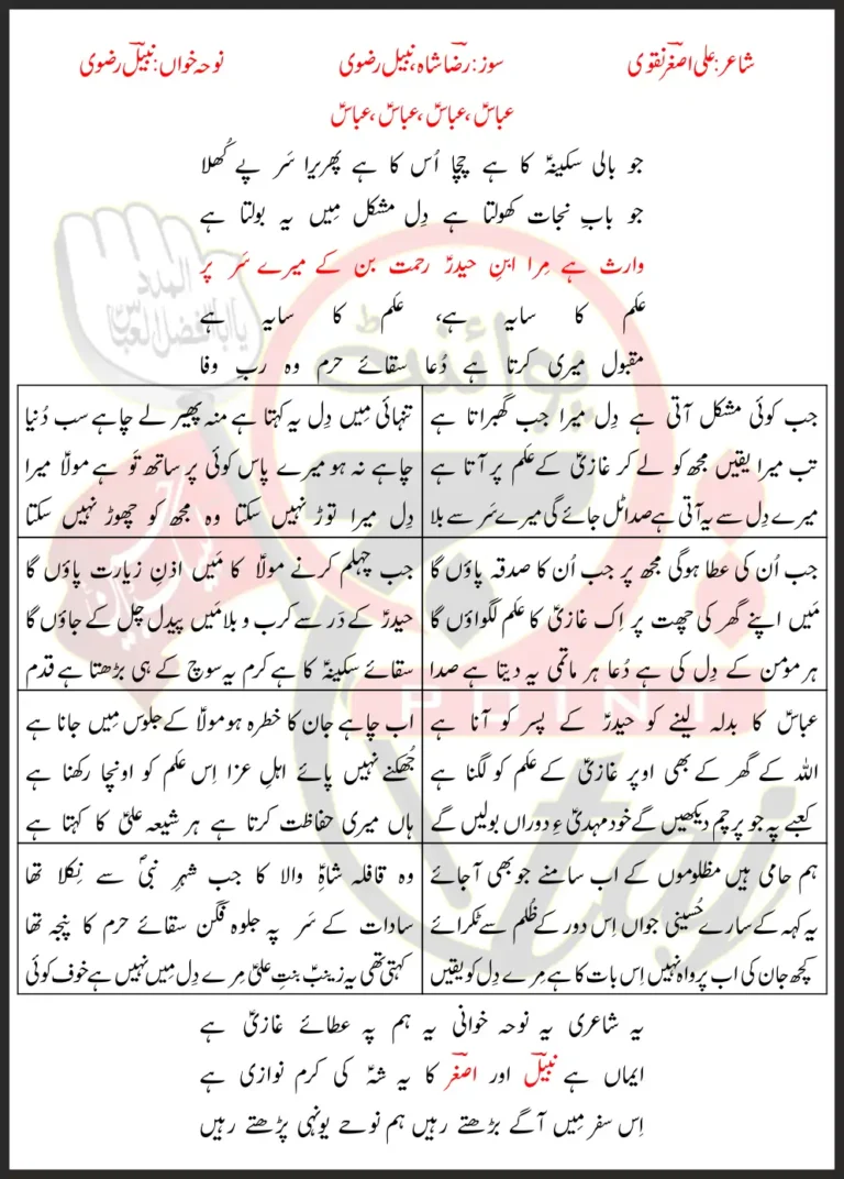 Alam Ka Saya Hai Nabeel Rizvi Lyrics Urdu 2026