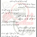 Aye Karbala Ke Chand Suna Sheh Ki Dastan SM Taqi Rizvi Lyrics Urdu 2026