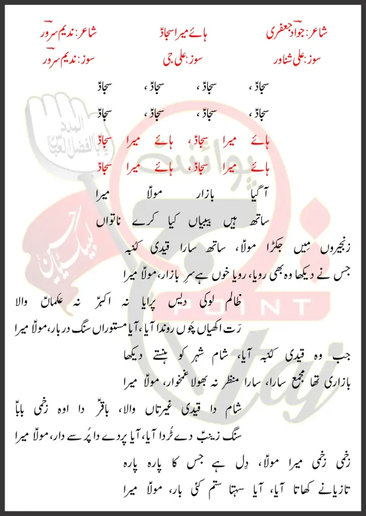 Haye Mera Sajjad Nadeem Sarwar Lyrics In Urdu 2026 1 Haye Mera Sajjad Nadeem Sarwar Lyrics In Urdu 2026