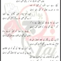 Is Shor Ki Aadi Nahi Zainab Mir Hasan Mir Lyrics Urdu 2026