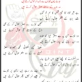 Jane Kyun Naizon Se ik Sar Talash karte Hein Kazmi Brothers Lyrics Urdu 2026