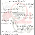 Kyun Chand Muharram Ka Sughra Ko Rolata Hai Lyrics Urdu 2025