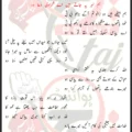 La Daingy Tumhein Pani Mir Jawad Mir Lyrics Urdu 2026