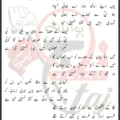 Habib Aao Madad Ko Hussain Tanha Hai Lyrics In Urdu 2026
