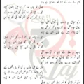 Kash Zainab Ko Koi Bhai Ka Pursa Deta Syed Wajhi Hasan Zaidi Lyrics In Urdu 2026