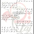 Fatima Ka Janaza Mohammed Abbas Karim Lyrics In Urdu 2026