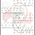 Teri Zehra Ko Madinay Walay Mueez Nagri Lyrics In Urdu 2026